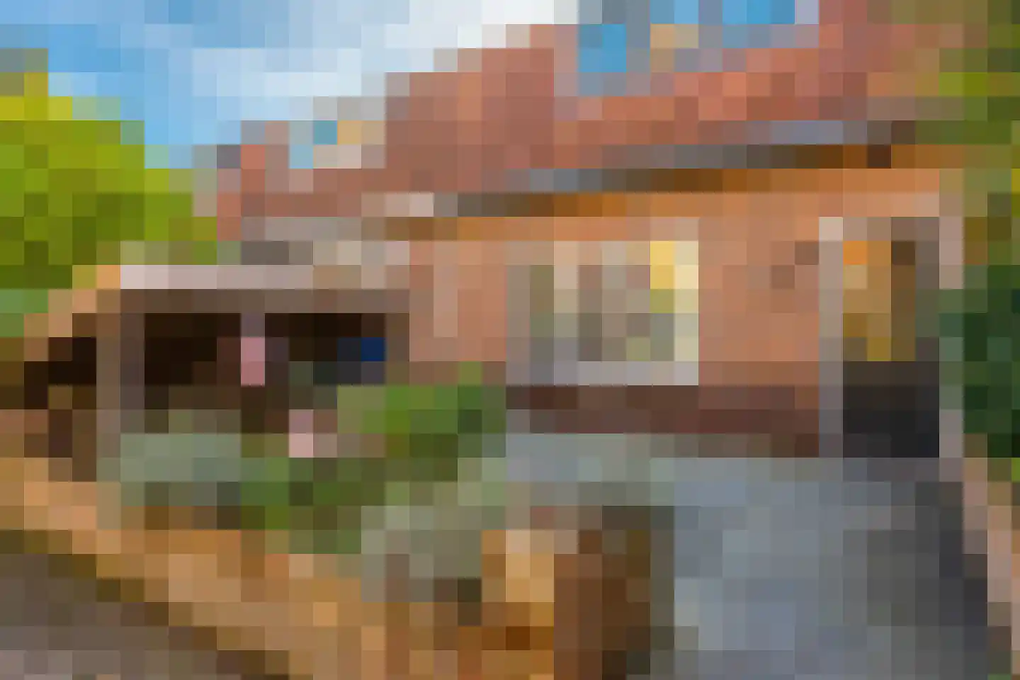Johan de Meesterstraat 6 Zeist thumbnail 35