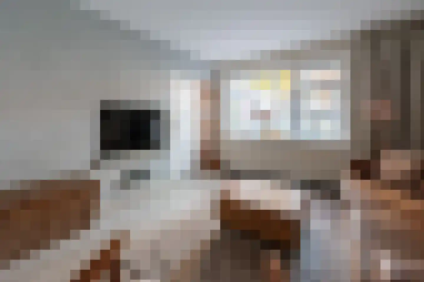 Johan de Meesterstraat 6 Zeist thumbnail 8
