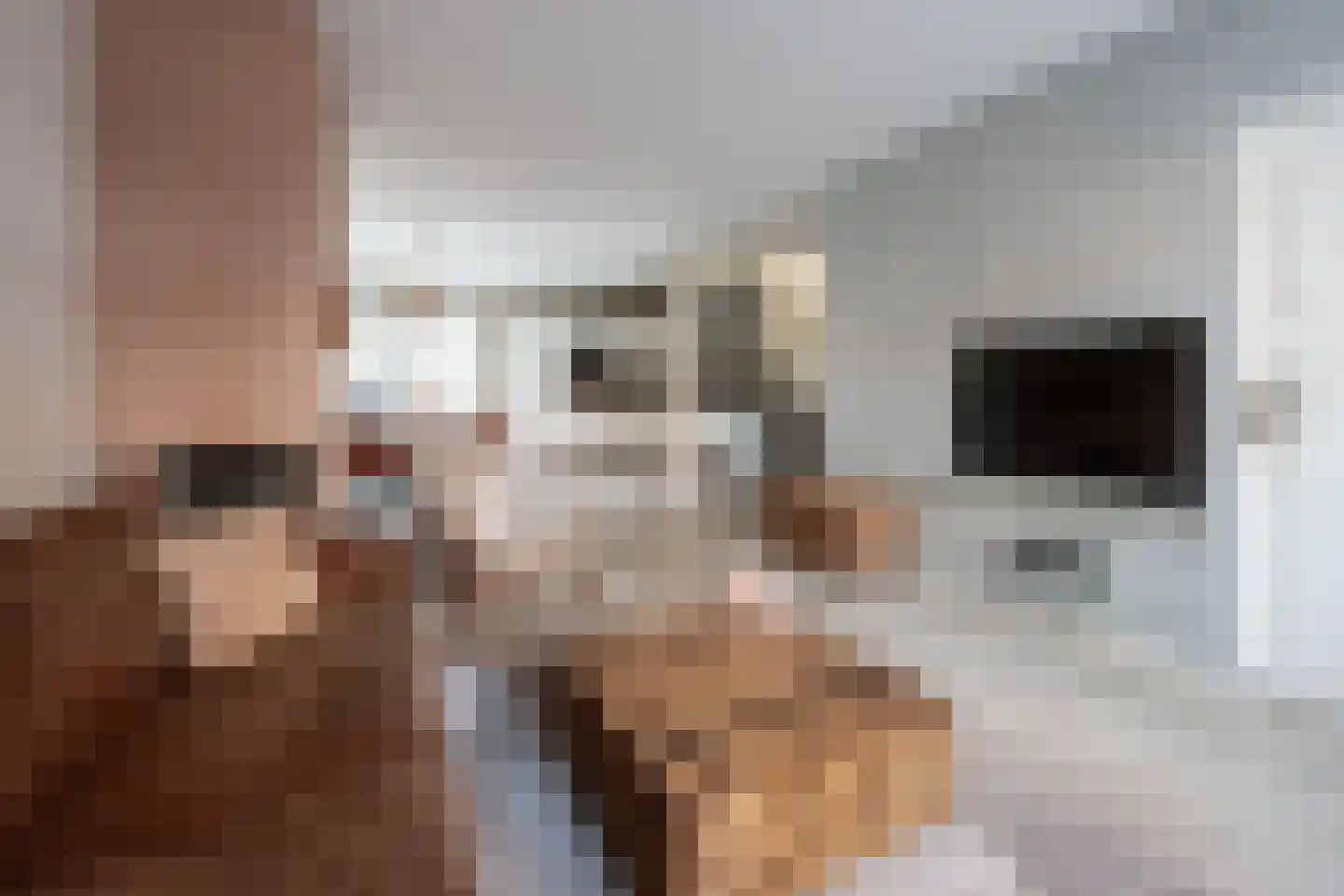 Johan de Meesterstraat 6 Zeist thumbnail 9