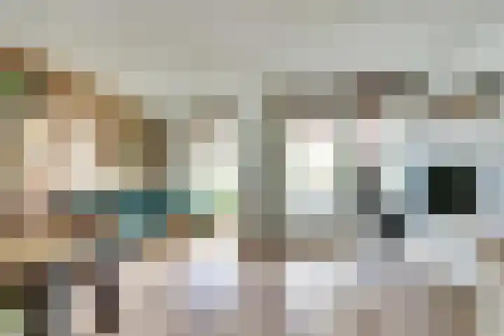 Johan de Meesterstraat 69 Utrecht thumbnail 7