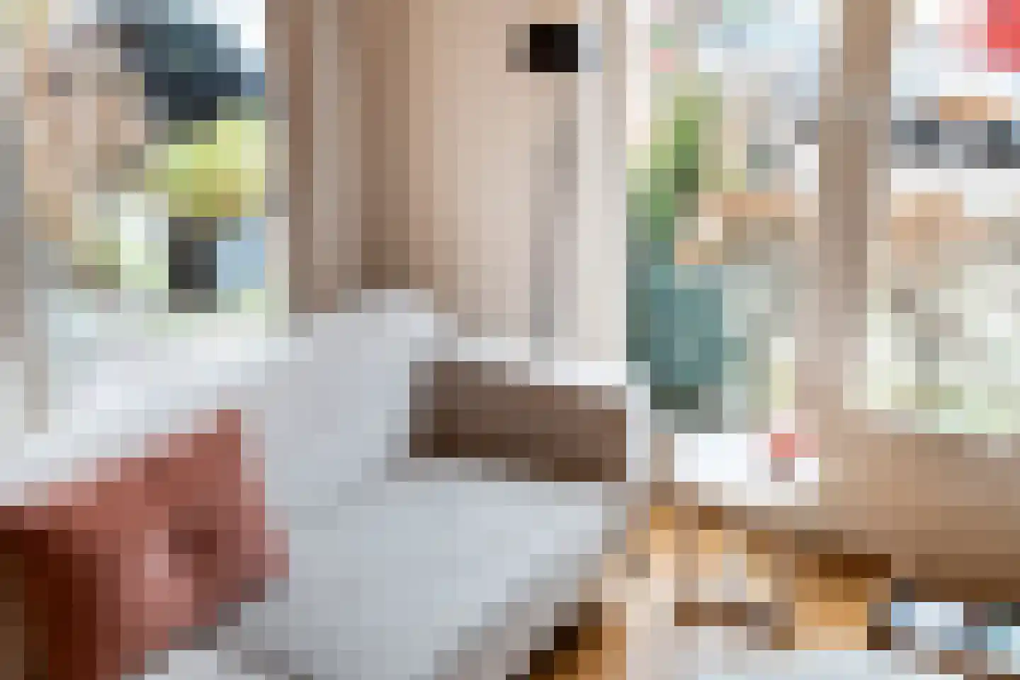 Johan de Meesterstraat 71 Utrecht thumbnail 14