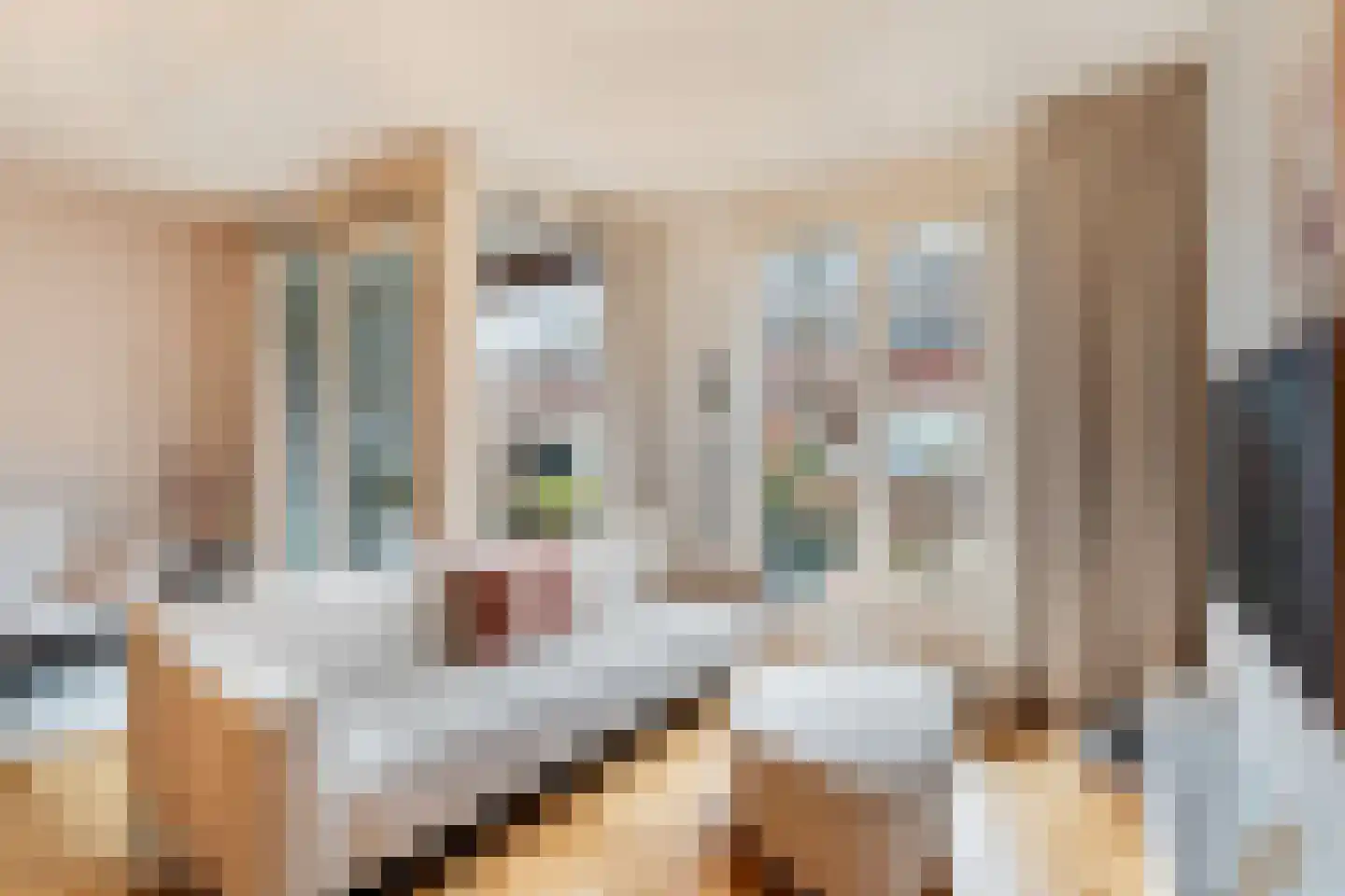 Johan de Meesterstraat 71 Utrecht thumbnail 15