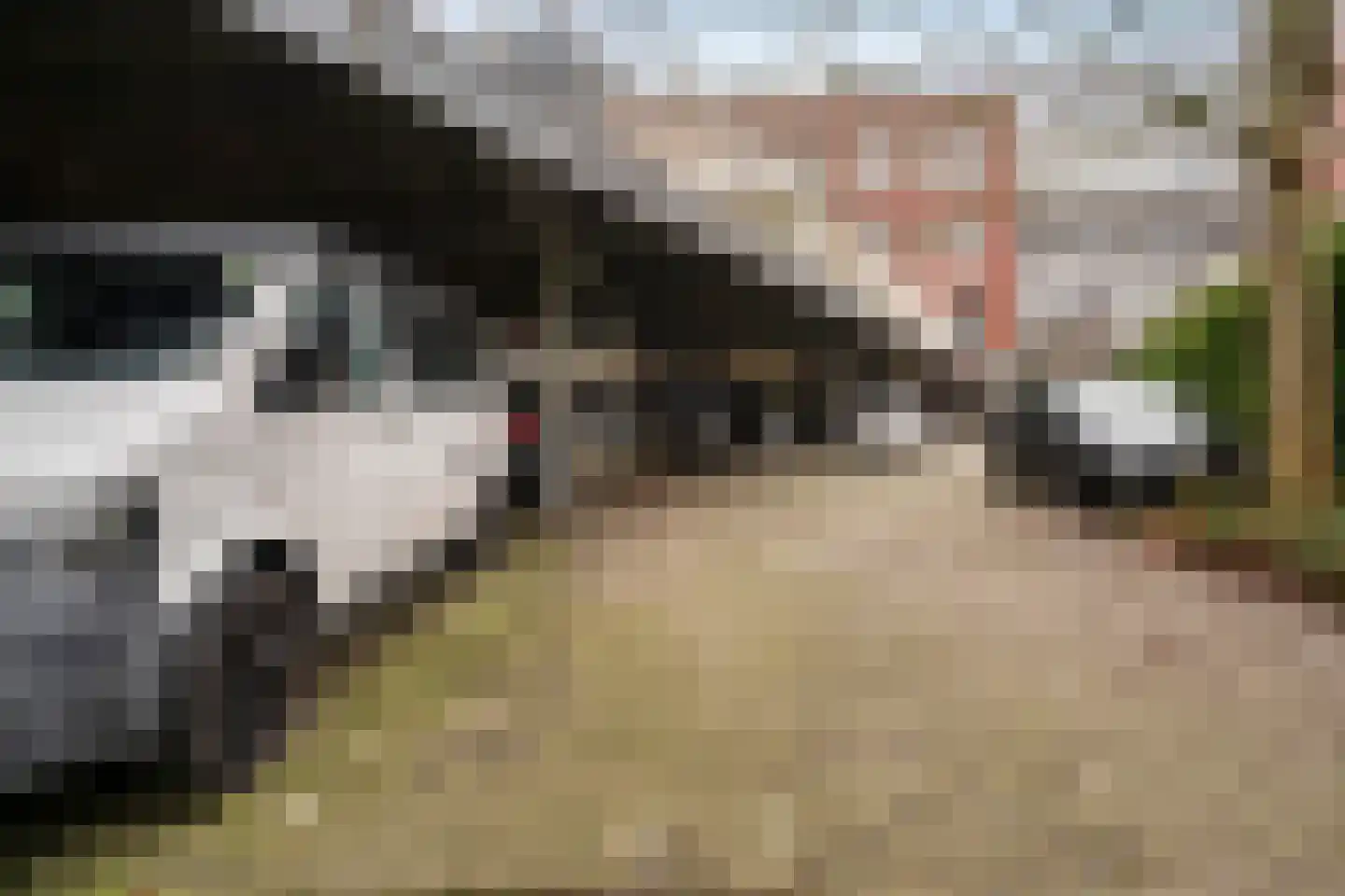 Johan de Meesterstraat 71 Utrecht thumbnail 38