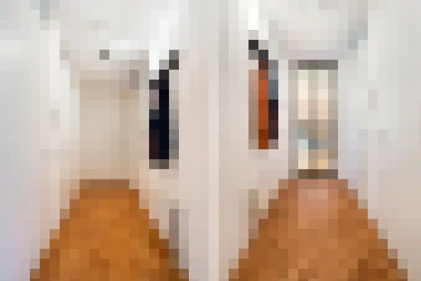 Johan de Meesterstraat 71 Utrecht thumbnail 6
