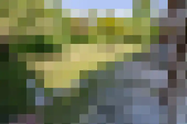 Johan de Meesterstraat 9 Haarlem thumbnail 32