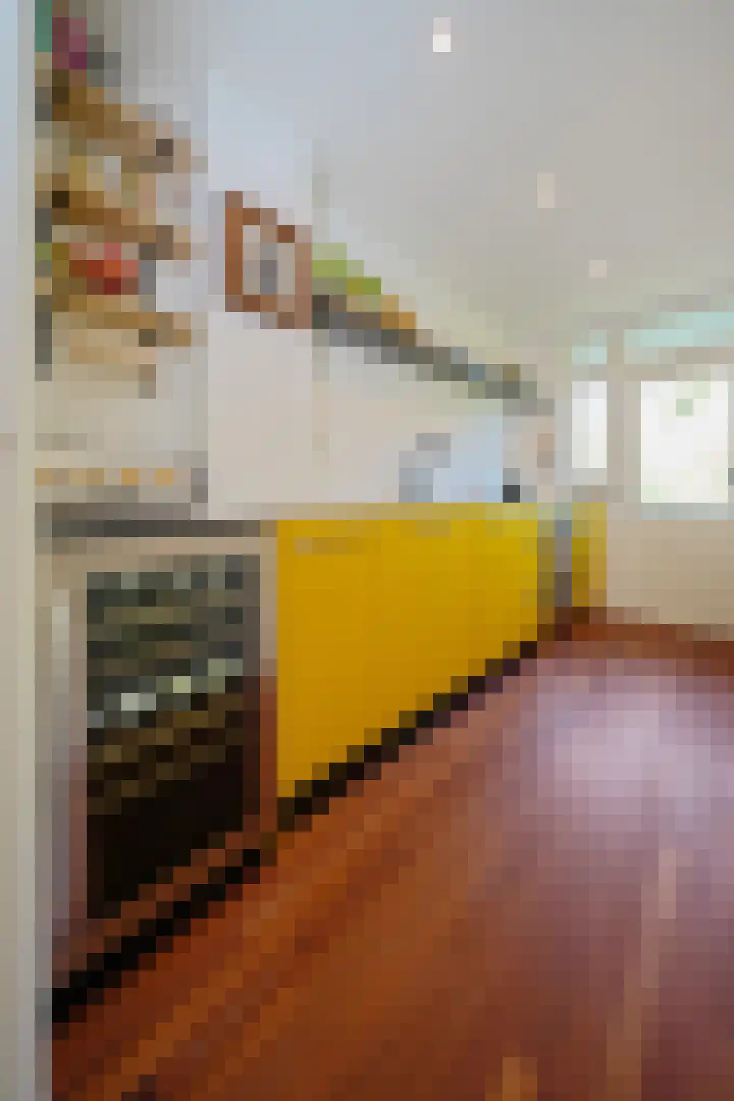 Johan de Meesterstraat 9 I Haarlem thumbnail 20