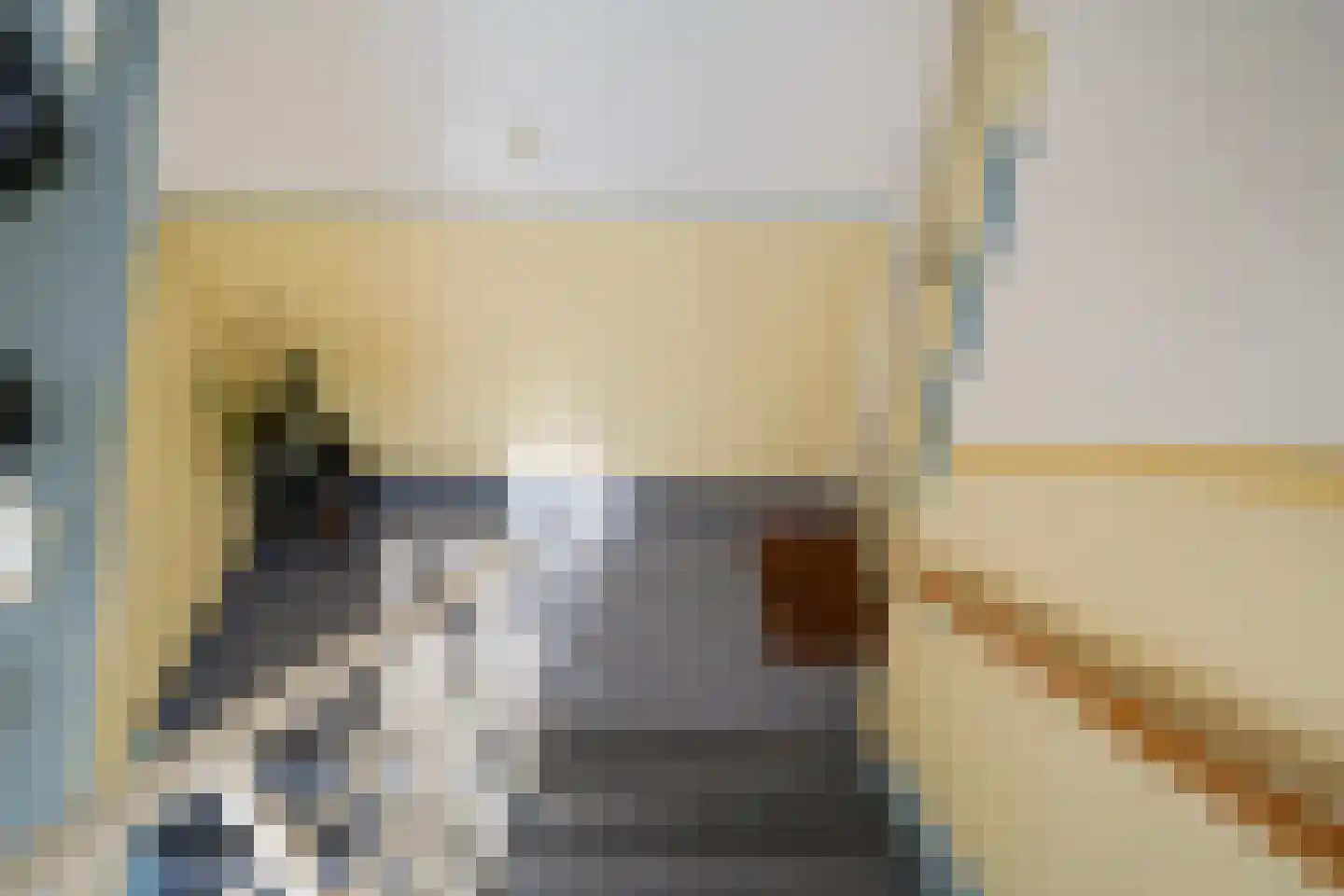 Johan de Meesterstraat 9 I Haarlem thumbnail 9
