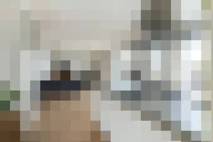 Johan de Meesterstraat 99 Utrecht thumbnail 11