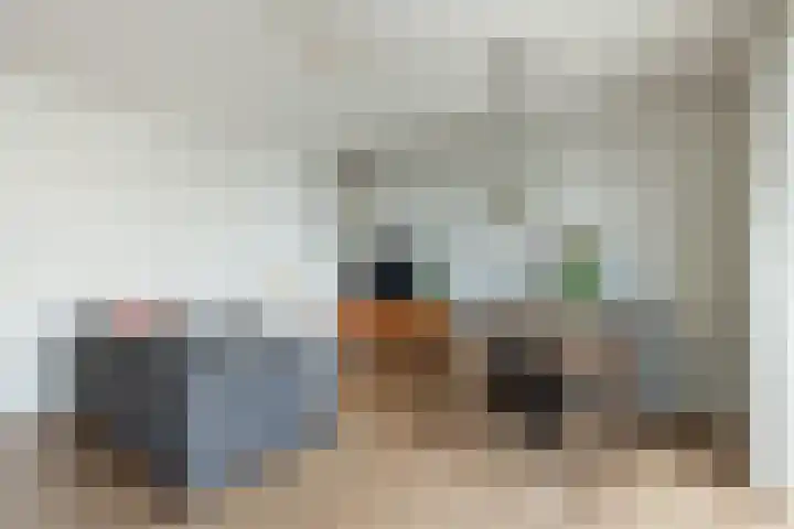 Johan de Meesterstraat 99 Utrecht thumbnail 15
