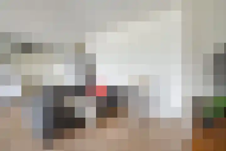 Johan de Meesterstraat 99 Utrecht thumbnail 17