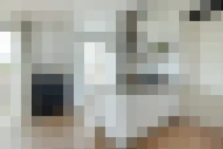 Johan de Meesterstraat 99 Utrecht thumbnail 21
