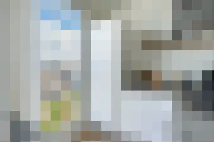 Johan de Meesterstraat 99 Utrecht thumbnail 22