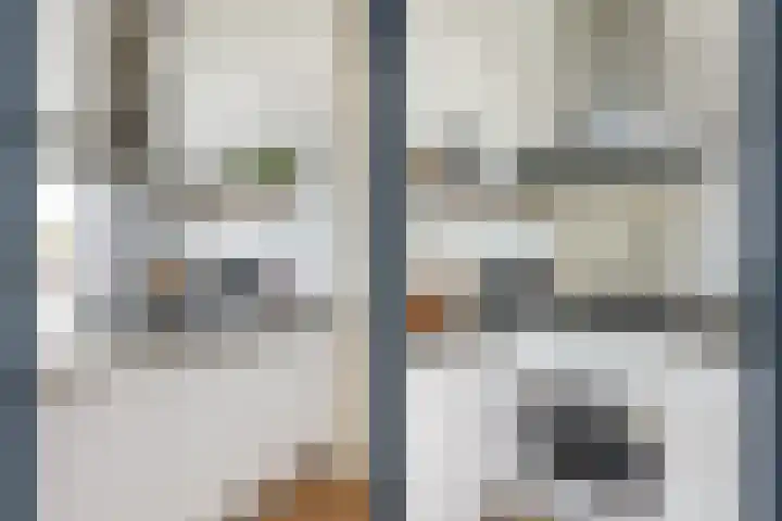 Johan de Meesterstraat 99 Utrecht thumbnail 25