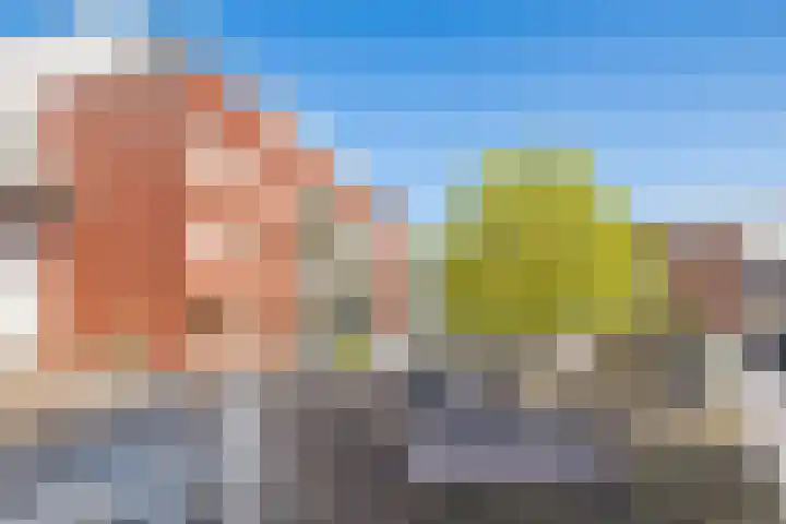 Johan de Meesterstraat 99 Utrecht thumbnail 33