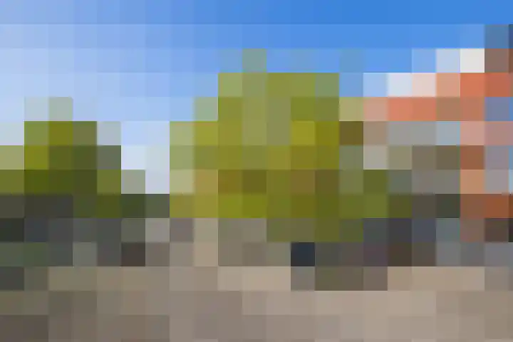 Johan de Meesterstraat 99 Utrecht thumbnail 34