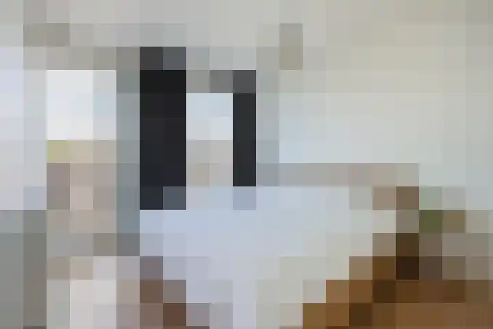 Johan de Meesterstraat 99 Utrecht thumbnail 5