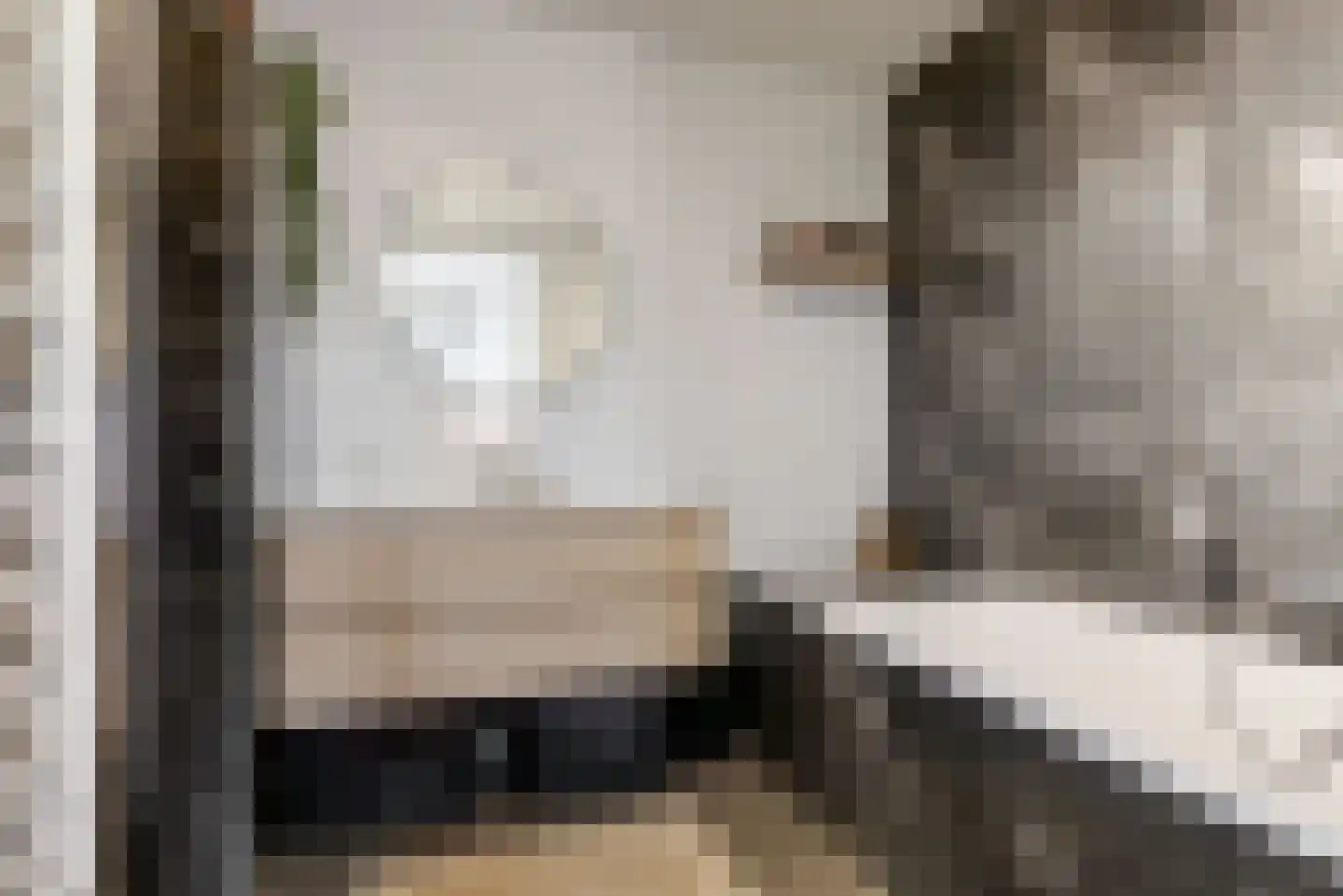 Johan de Ridderlaan 1 e Montfoort thumbnail 25