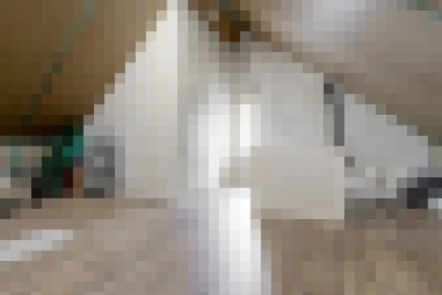 Johan de Ridderlaan 1 e Montfoort thumbnail 30