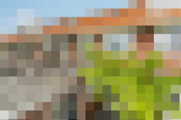 Johan de Walestraat 10 Leeuwarden thumbnail 29