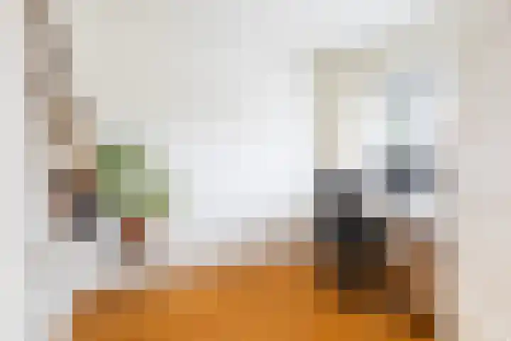 Johan de Walestraat 14 Leeuwarden thumbnail 34