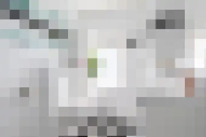 Johan de Walestraat 14 Leeuwarden thumbnail 37