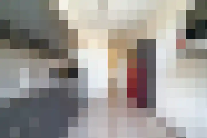 Johan de Wittlaan 1 Zwijndrecht thumbnail 15