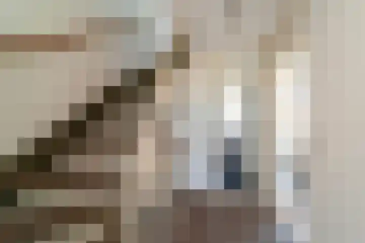 Johan de Wittlaan 1 Zwijndrecht thumbnail 17