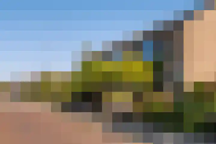 Johan de Wittlaan 1 Zwijndrecht thumbnail 4