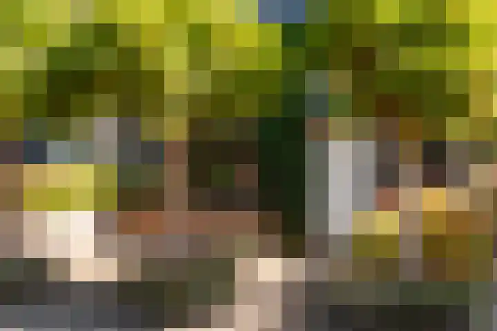 Johan de Wittlaan 1 Zwijndrecht thumbnail 5