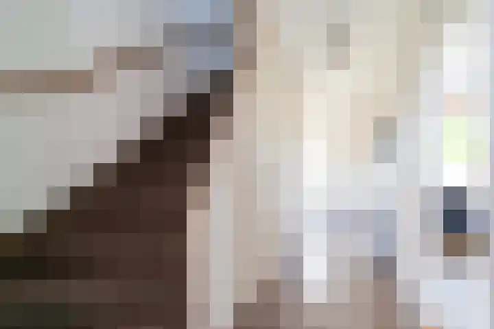 Johan de Wittlaan 1 Zwijndrecht thumbnail 7