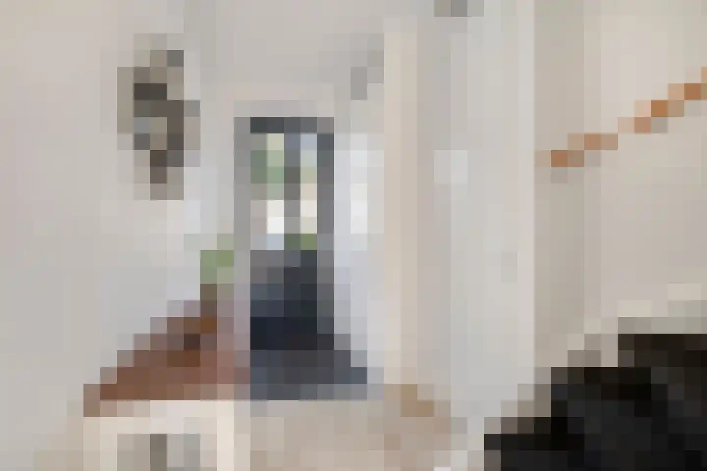 Johan de Wittlaan 10 E Woerden thumbnail 16