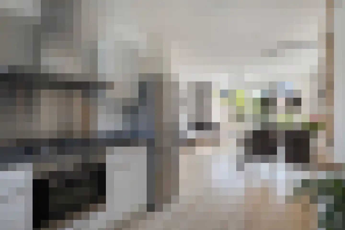 Johan de Wittlaan 10 E Woerden thumbnail 22