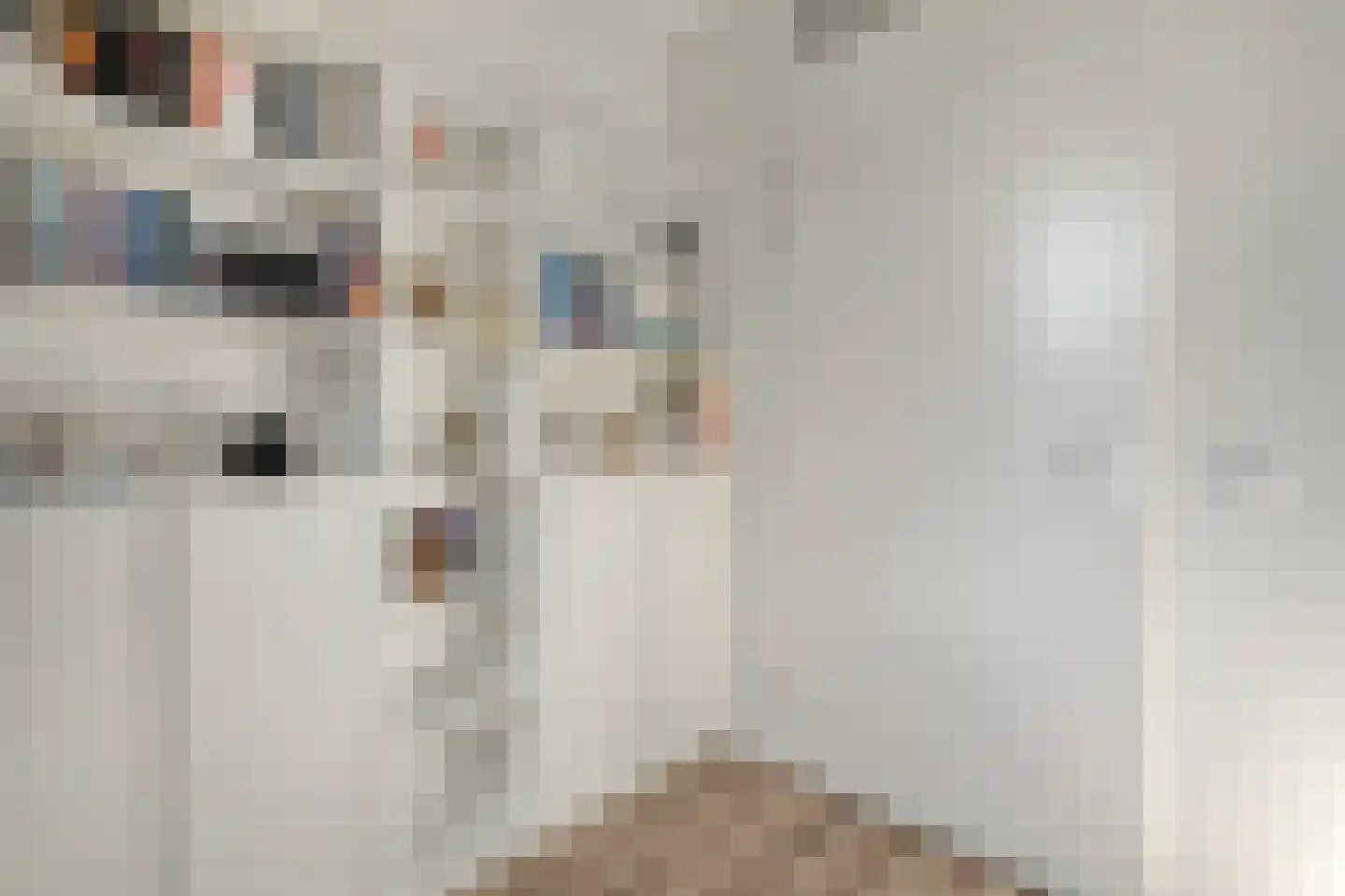 Johan de Wittlaan 10 E Woerden thumbnail 25