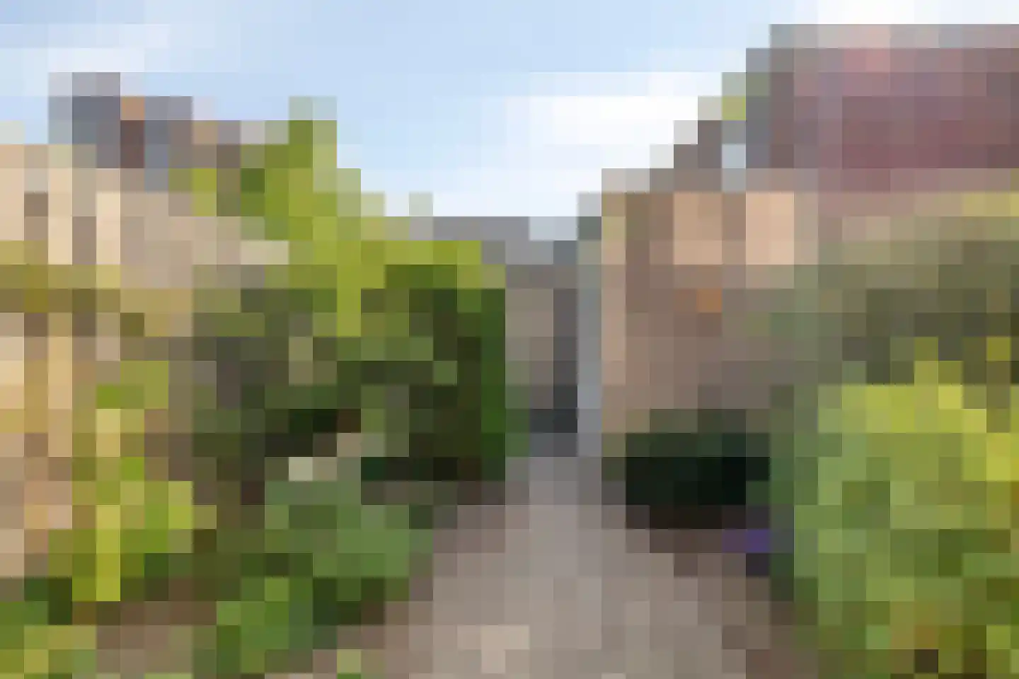 Johan de Wittlaan 10 E Woerden thumbnail 29