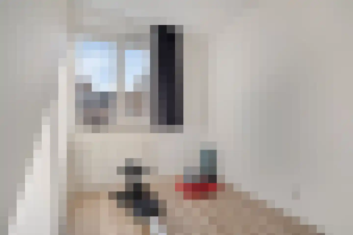 Johan de Wittlaan 10 E Woerden thumbnail 8