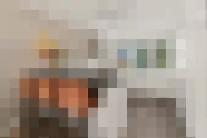 Johan de Wittlaan 10 M Woerden thumbnail 16