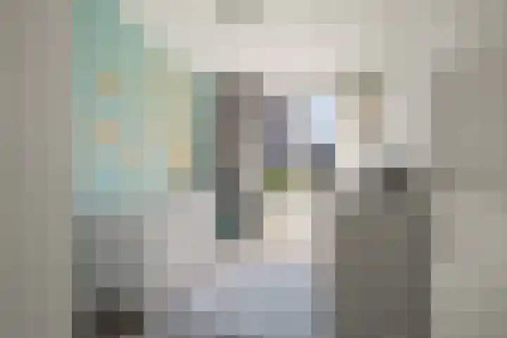 Johan de Wittlaan 10 M Woerden thumbnail 29