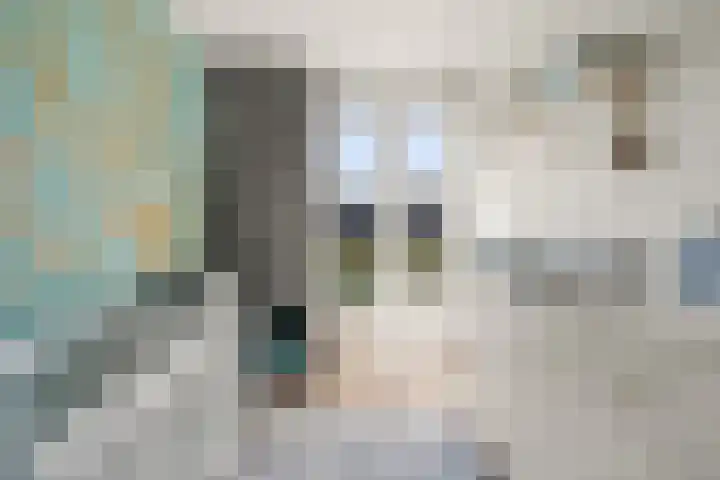Johan de Wittlaan 10 M Woerden thumbnail 30