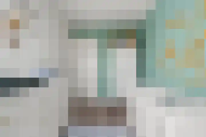 Johan de Wittlaan 10 M Woerden thumbnail 31