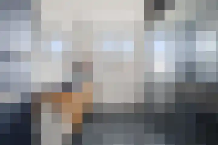 Johan de Wittlaan 10 M Woerden thumbnail 32