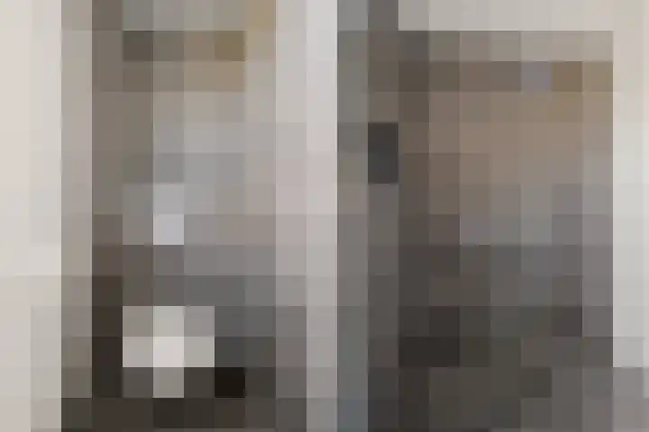 Johan de Wittlaan 10 M Woerden thumbnail 34