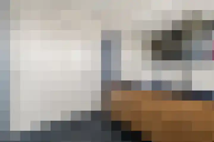 Johan de Wittlaan 10 M Woerden thumbnail 35