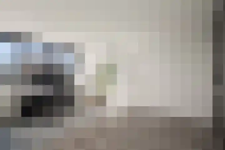 Johan de Wittlaan 10 M Woerden thumbnail 37