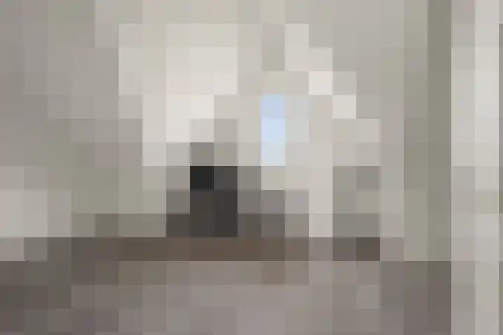 Johan de Wittlaan 10 M Woerden thumbnail 38