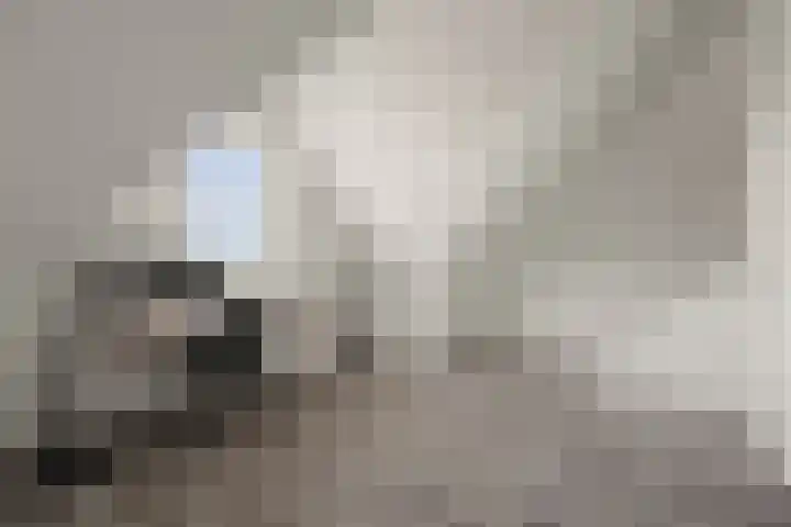 Johan de Wittlaan 10 M Woerden thumbnail 39