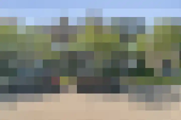 Johan de Wittlaan 10 M Woerden thumbnail 4