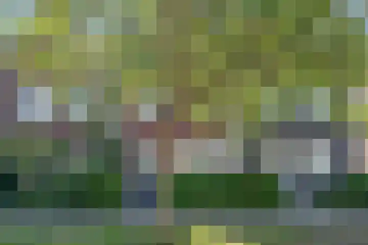 Johan de Wittlaan 10 M Woerden thumbnail 5
