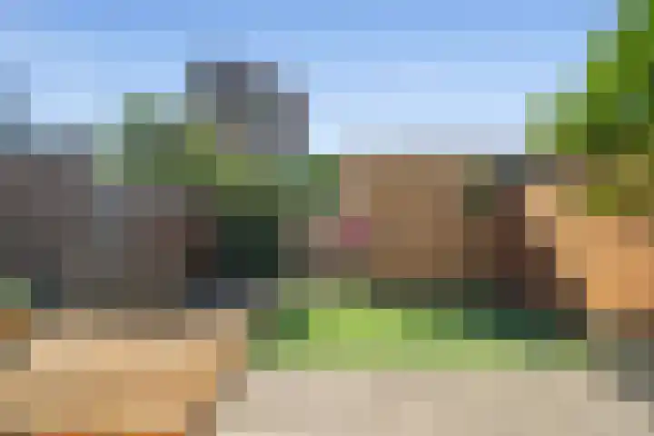 Johan de Wittlaan 10 M Woerden thumbnail 50