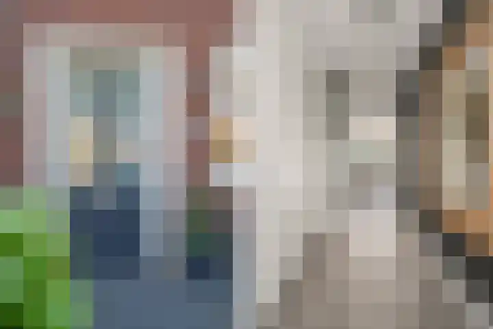 Johan de Wittlaan 10 M Woerden thumbnail 6