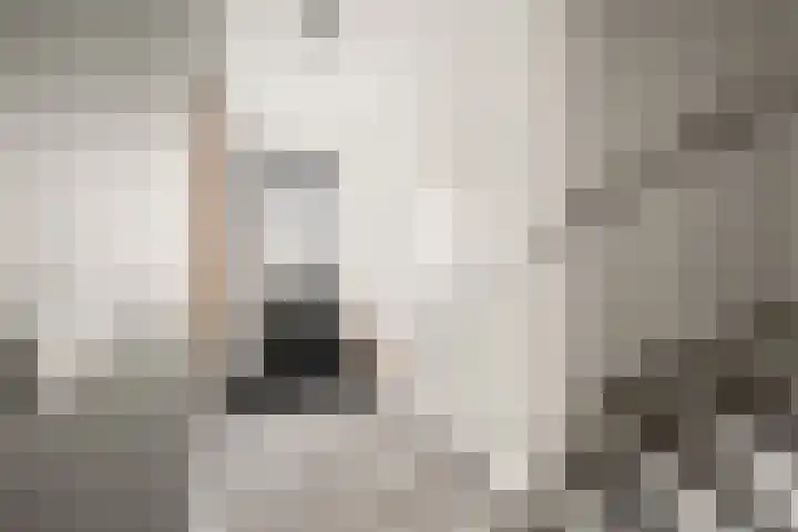 Johan de Wittlaan 10 M Woerden thumbnail 7